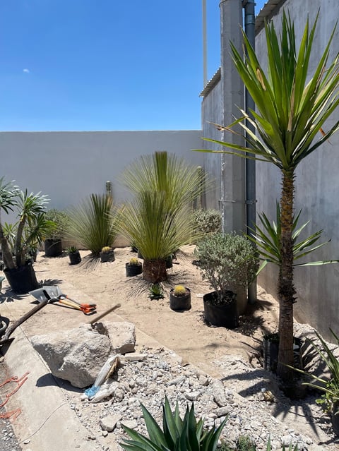 Modern courtyard