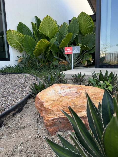 Modern garden landscape