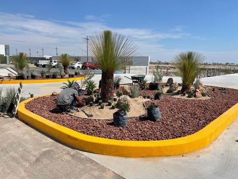 Desert-themed landscaping