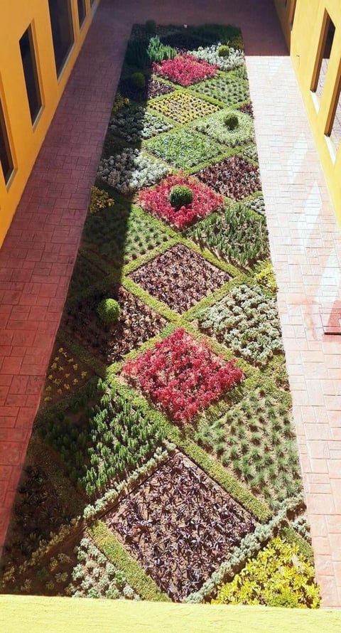 Overhead view of a narrow garden courtyard with colorful geometric flower beds in pink, white, purple, and yellow arranged in diamond and square patterns between yellow building walls