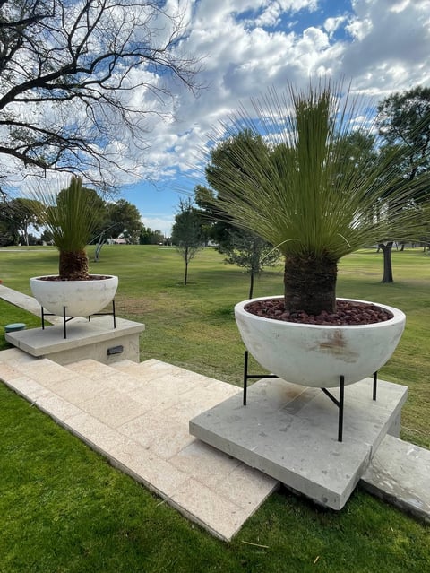 White bowl-shaped planters