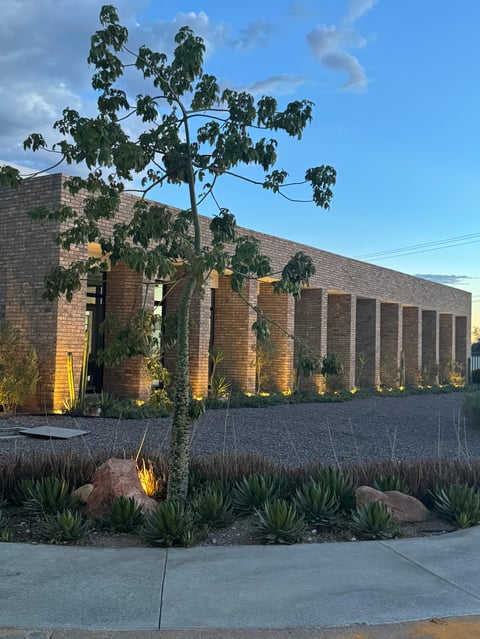Modern brick building with ivy