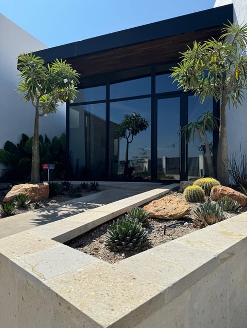 Modern black and white minimalist building entrance with desert landscaping, palm trees, and succulents in planters