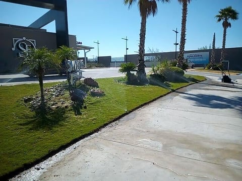 Commercial entrance with palm trees