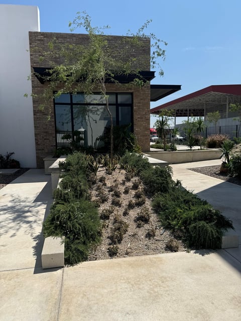 House with green living wall