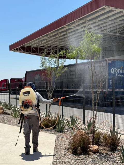 Worker spraying pesticide on outdoor seating area with metal awning and landscaping