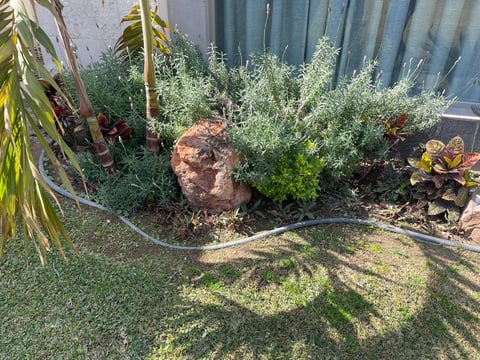 Green shrubs and rocks