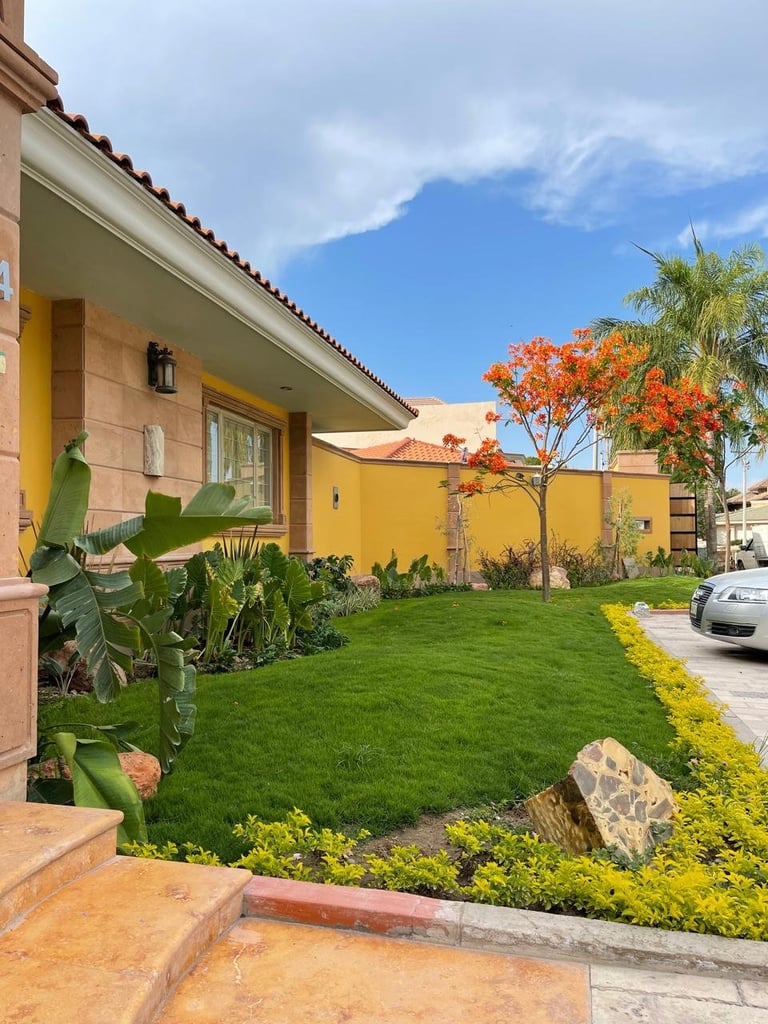 Modern house with yellow walls, manicured green lawn, orange flowering tree, and tropical plants in sunny residential setting