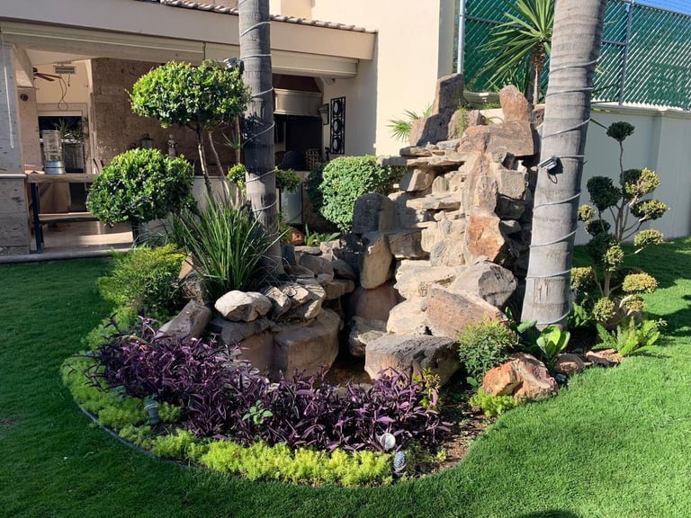 Modern backyard landscape